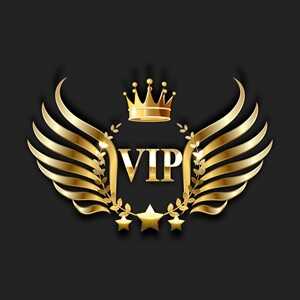 הובלות VIP